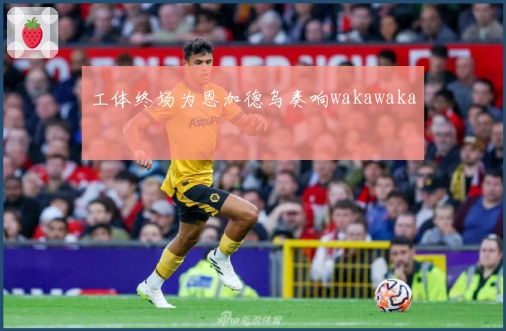 工体终场为恩加德乌奏响wakawaka