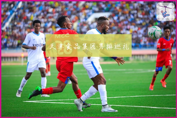 天津食品集团男排巡礼